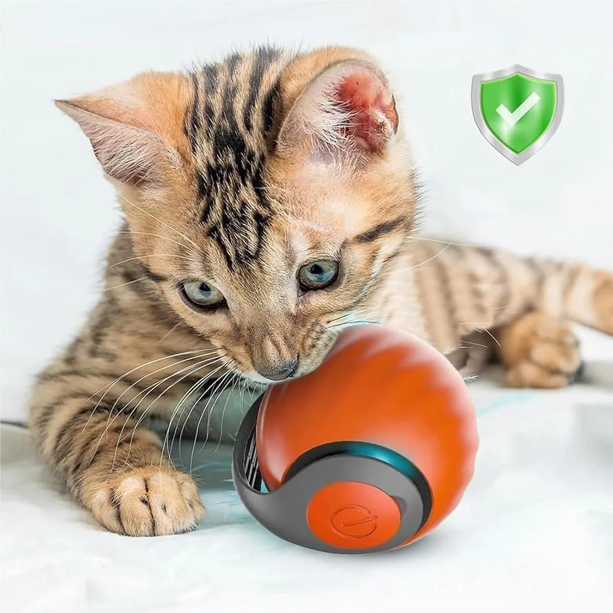 automatic rolling cat toy ball: kitten playing with the rolling ball