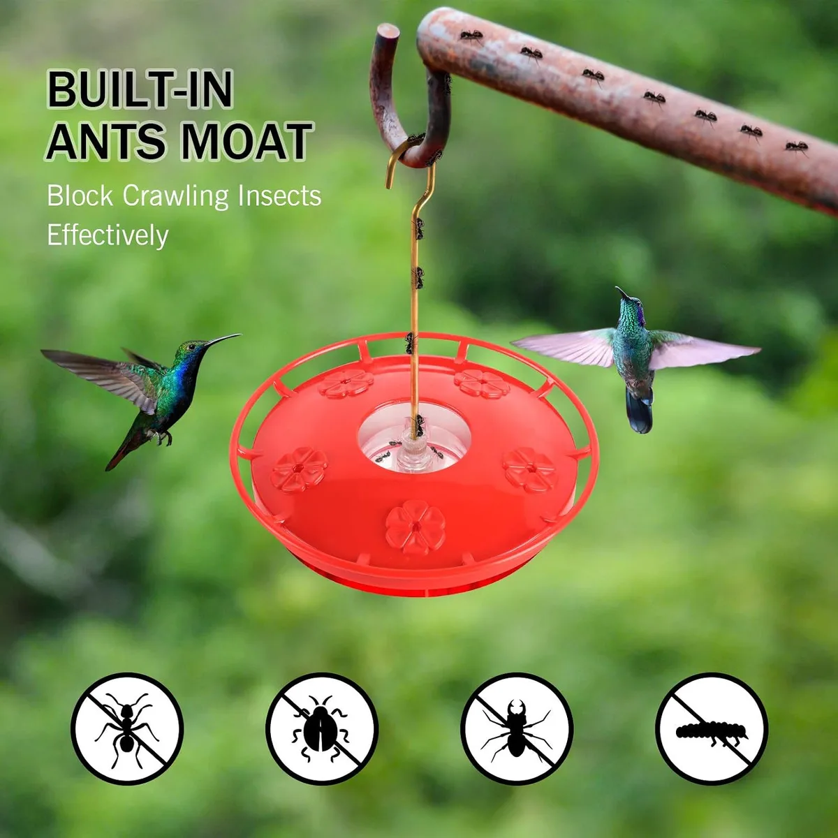 built-in ant moat on the saucer hummingbird feeder