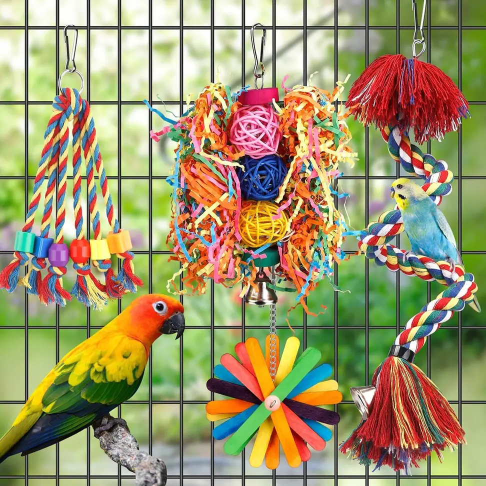 parrots foraging in the bird toys set basket