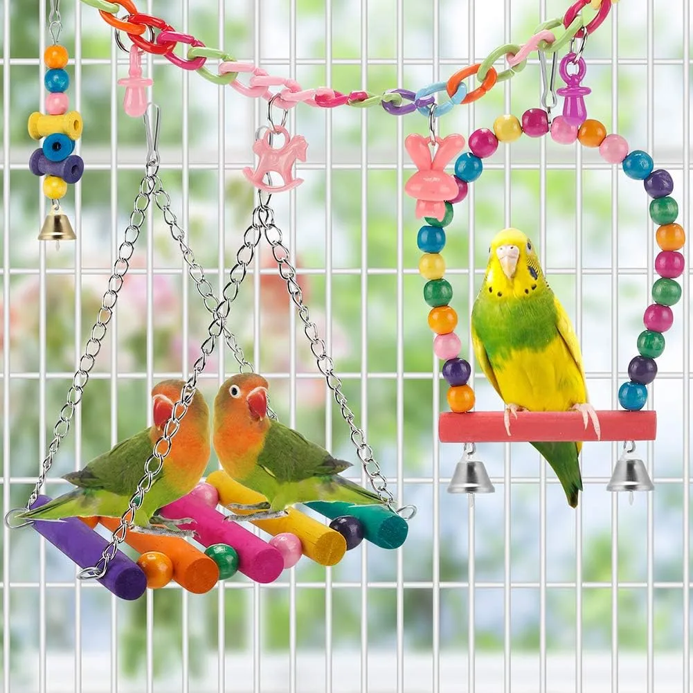 budgie on the swing from the parakeet toys set
