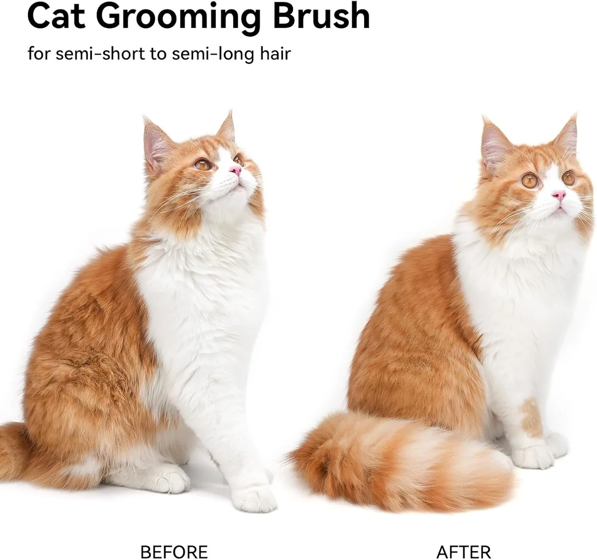 cat coat before and after using the self-cleaning cat brush