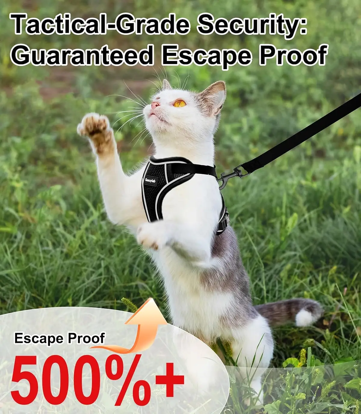 cat exploring outdoors in the escape-proof cat harness