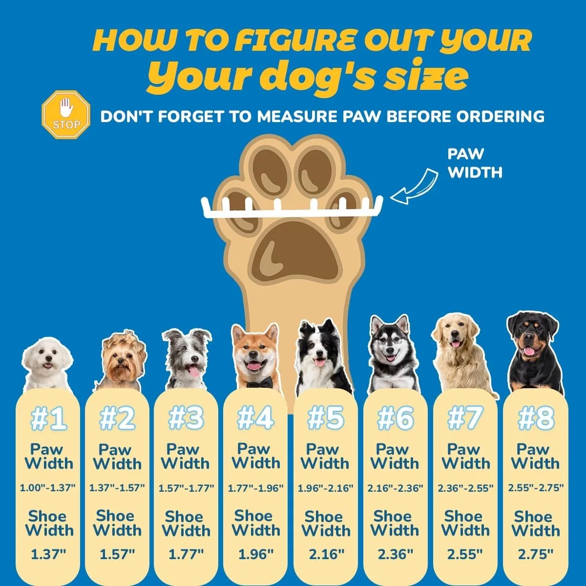 how to measure your dog's paw for dog boots